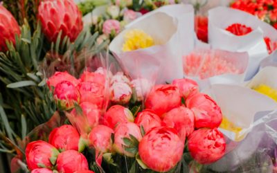 Luxury Floral Arrangements in LA: What Makes El Principito Stand Out